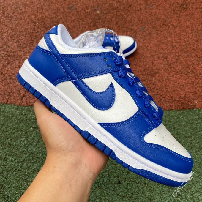 Nike Dunk Low Blue White CU1726-100