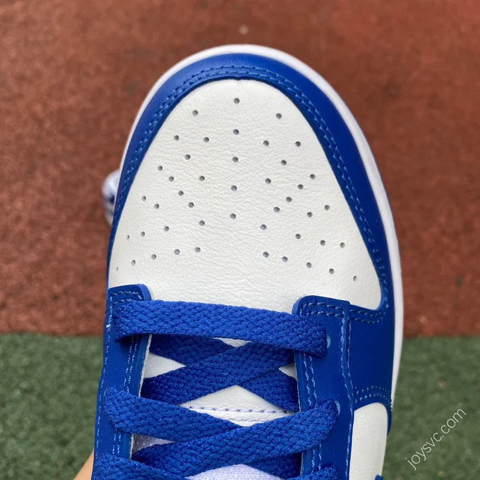 Nike Dunk Low Blue White CU1726-100