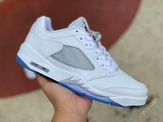 Air Jordan 5 Low GS 