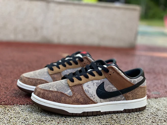 Nike Dunk Low CO.JP Brown Black FJ5434-120