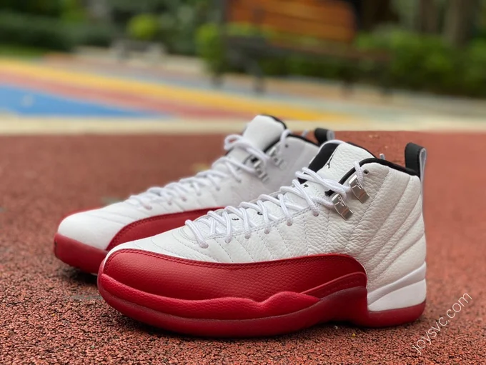 Air Jordan 12 