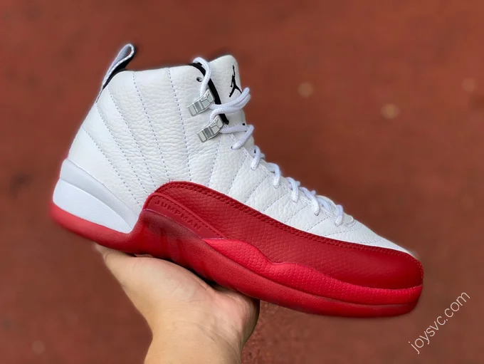 Air Jordan 12 