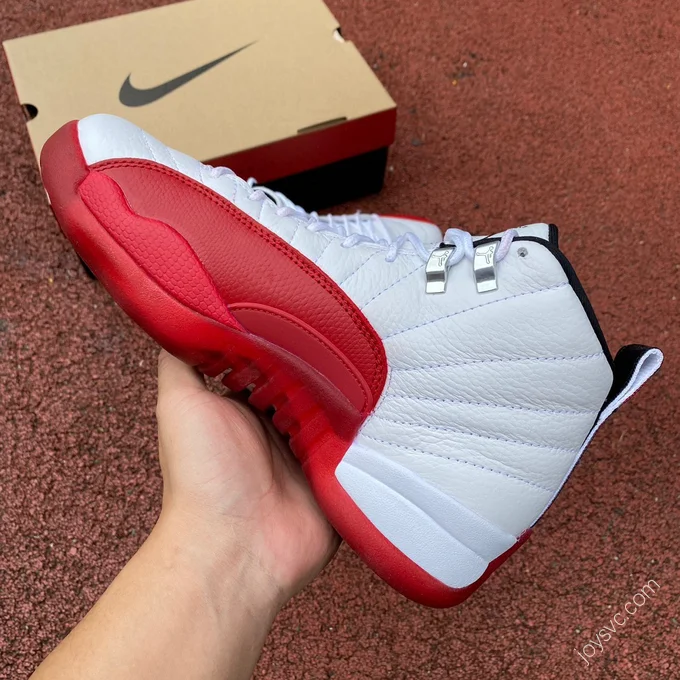 Air Jordan 12 