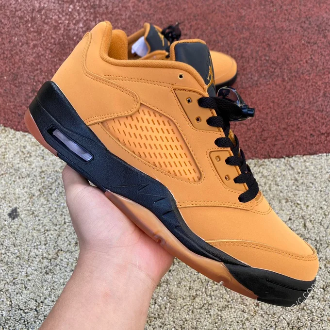 Air Jordan 5 Low 