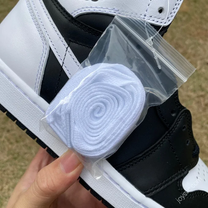 Air Jordan 1 High Reverse Panda DZ5485-010