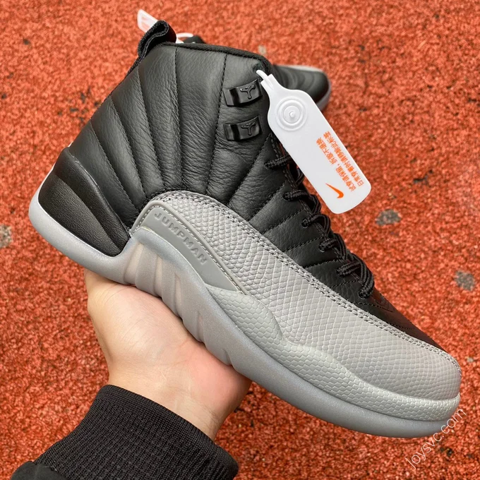 Air Jordan 12 