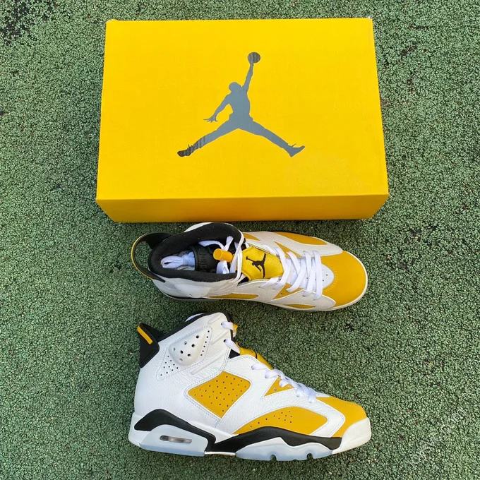 Air Jordan 6 