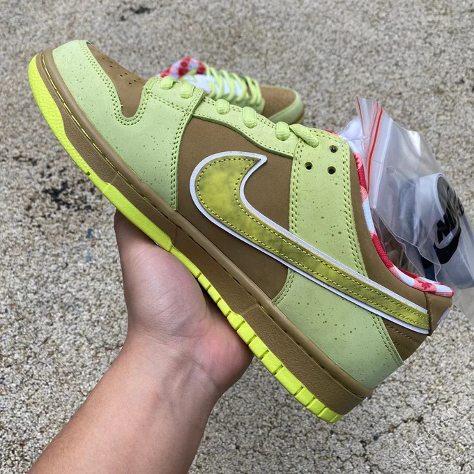 CONCEPTS x Nike Dunk SB Low 