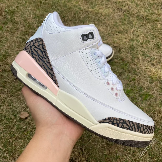 Air Jordan 3 