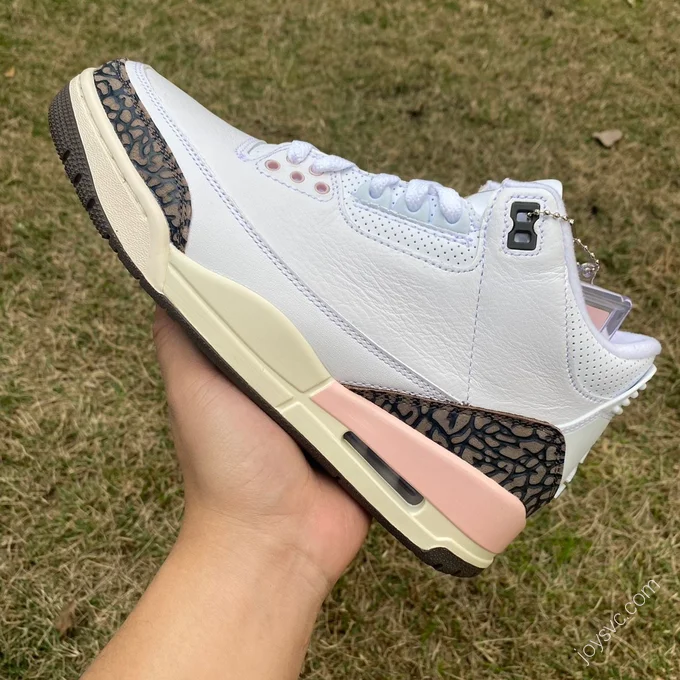 Air Jordan 3 