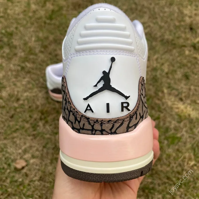 Air Jordan 3 