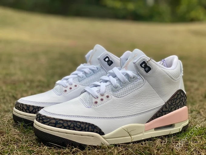 Air Jordan 3 