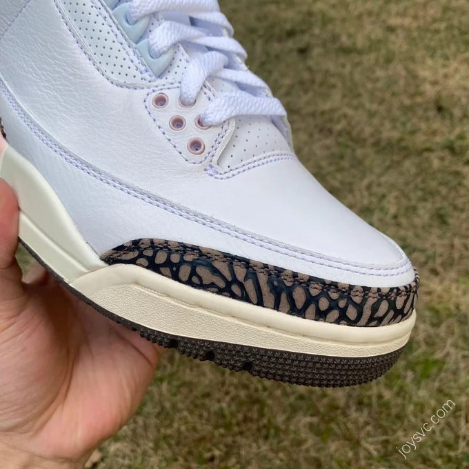 Air Jordan 3 