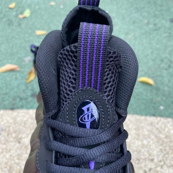 Nike Foamposite One Purple Black FN5212-001