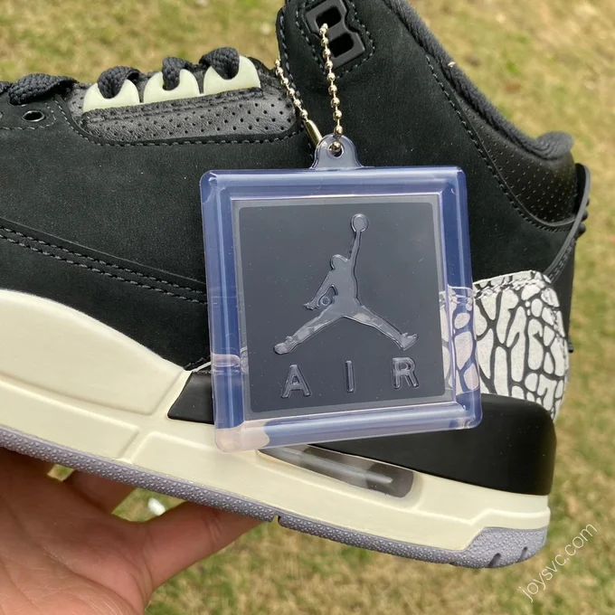 Air Jordan 3 