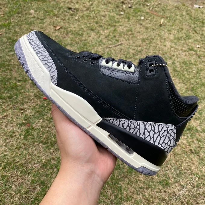 Air Jordan 3 