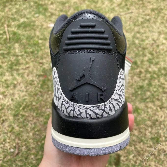 Air Jordan 3 