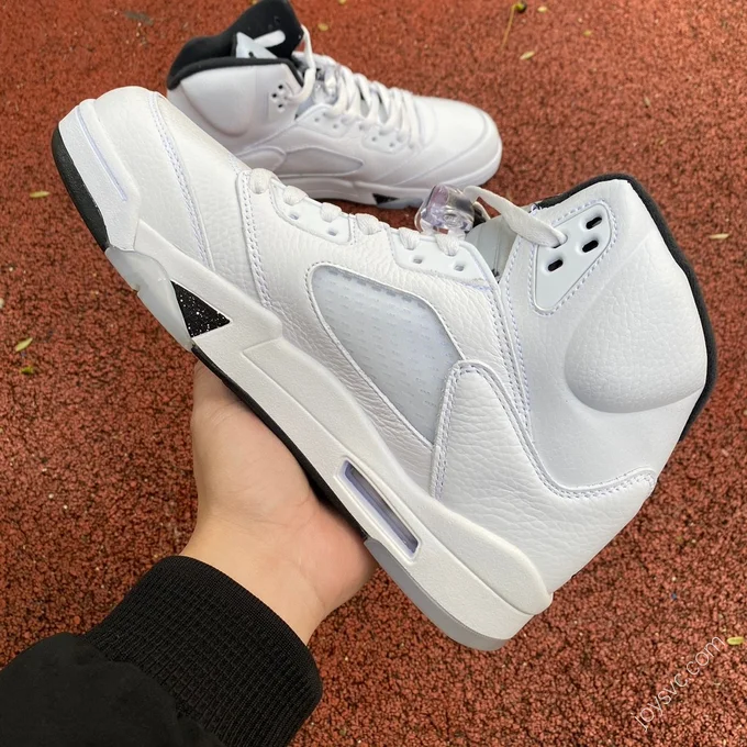 Air Jordan 5 