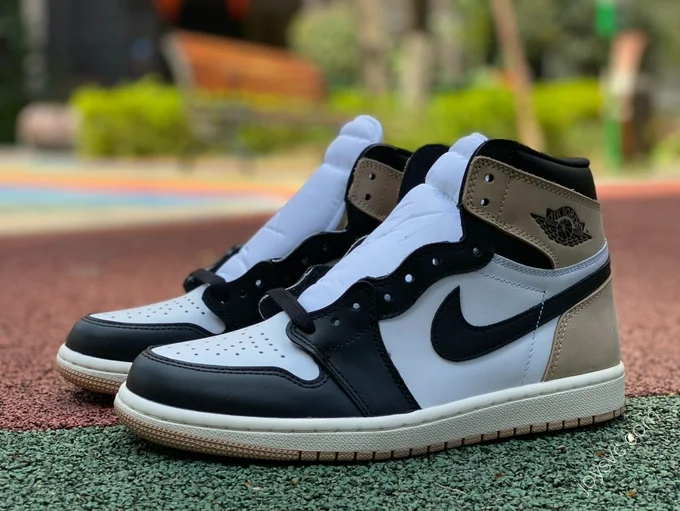 Air Jordan 1 Black Brown FD2596-021