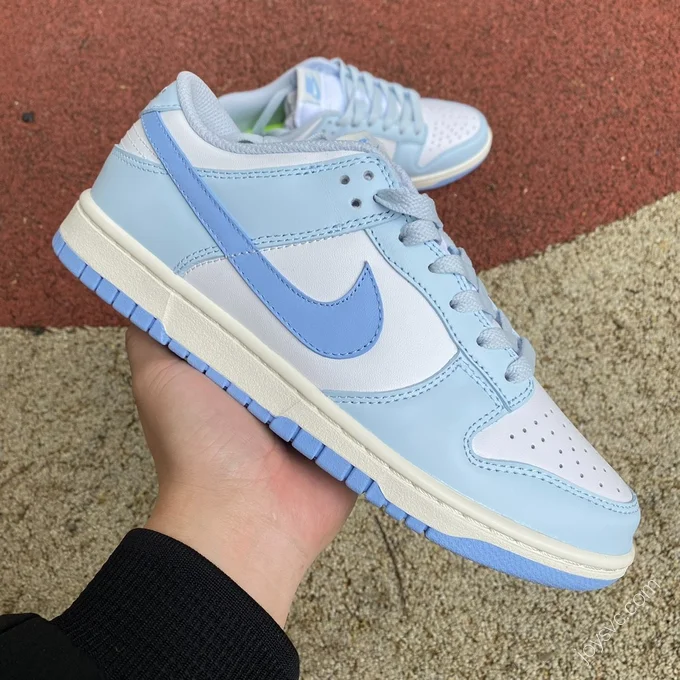 Nike Dunk Low Blue White DD1873-400