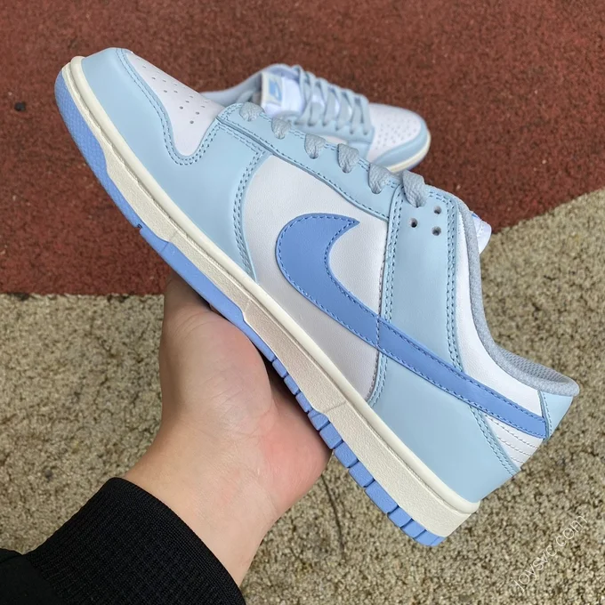 Nike Dunk Low Blue White DD1873-400