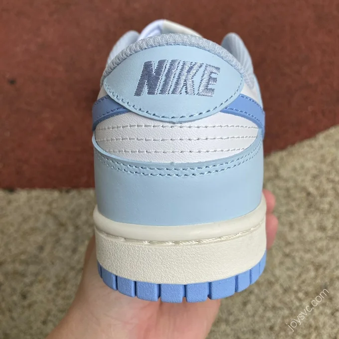 Nike Dunk Low Blue White DD1873-400