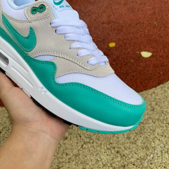 Nike Air Max 1 Green DZ4549-001