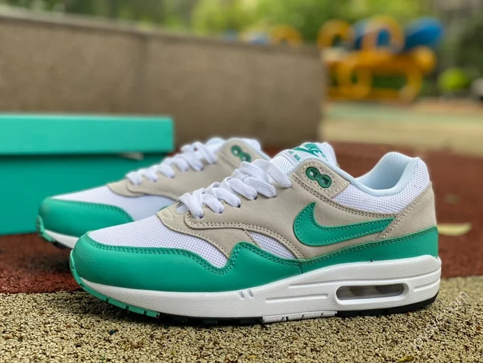 Nike Air Max 1 Green DZ4549-001