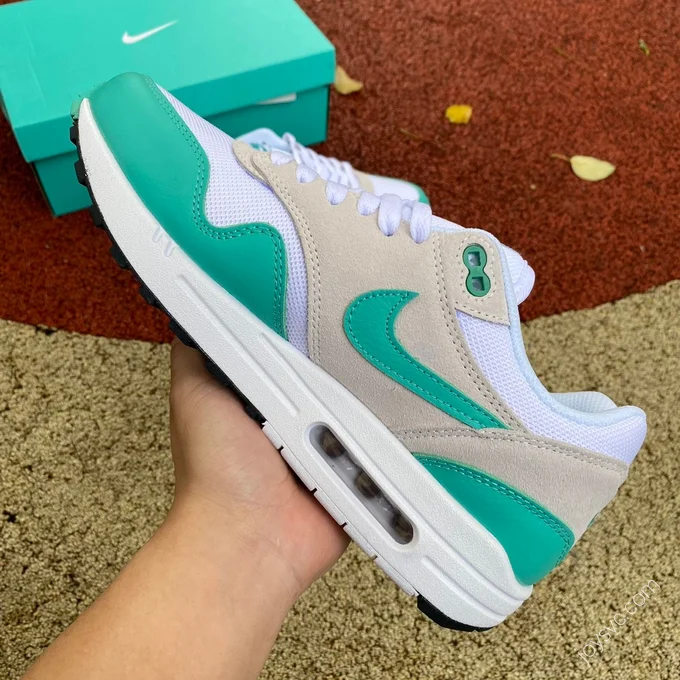 Nike Air Max 1 Green DZ4549-001