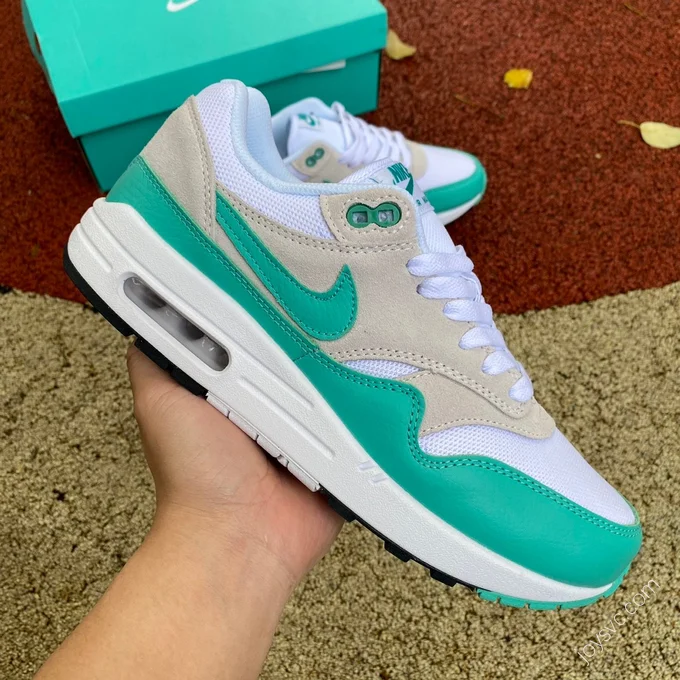 Nike Air Max 1 Green DZ4549-001