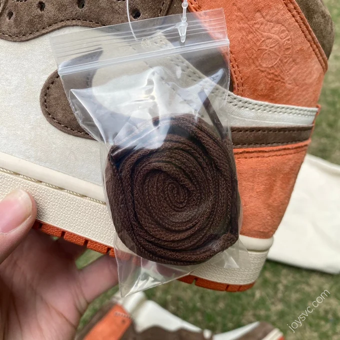 Air Jordan 1 High OG Cocoa Brown Retro Basketball Shoe FQ2941-200