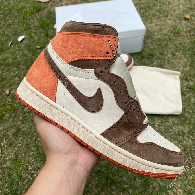 Air Jordan 1 High OG Cocoa Brown Retro Basketball Shoe FQ2941-200