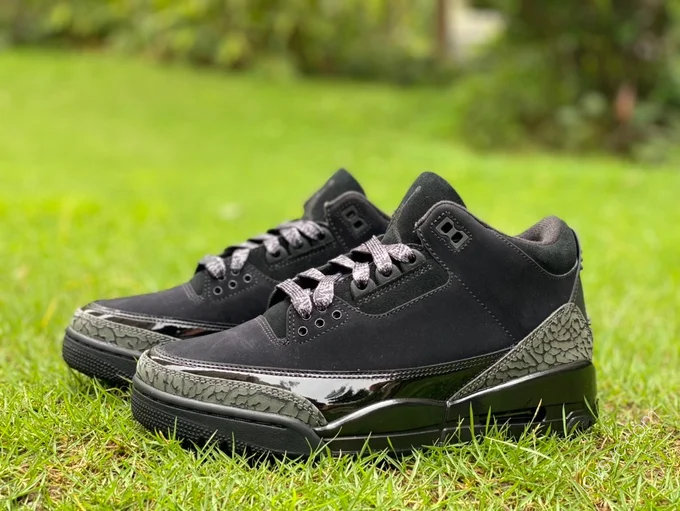 Air Jordan 3 