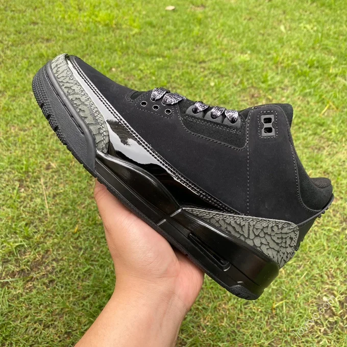 Air Jordan 3 