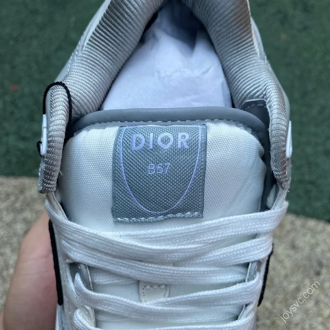 Dior B57 Grey White