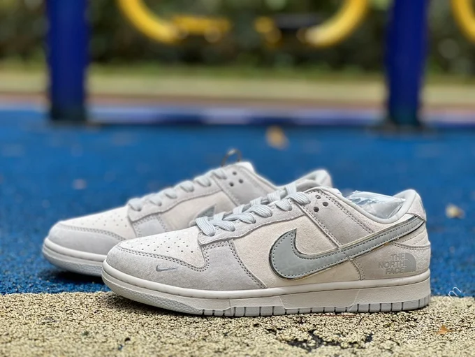 Nike Dunk x The North Face Grey DQ1098-338