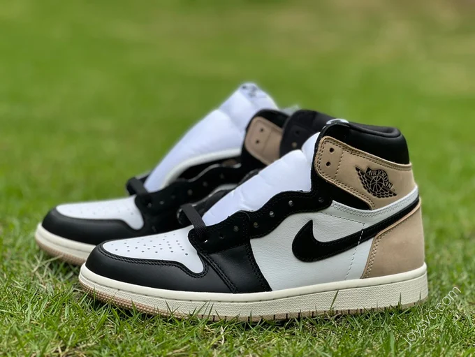 Air Jordan 1 High OG Brown Black White Sneakers FD2596-021