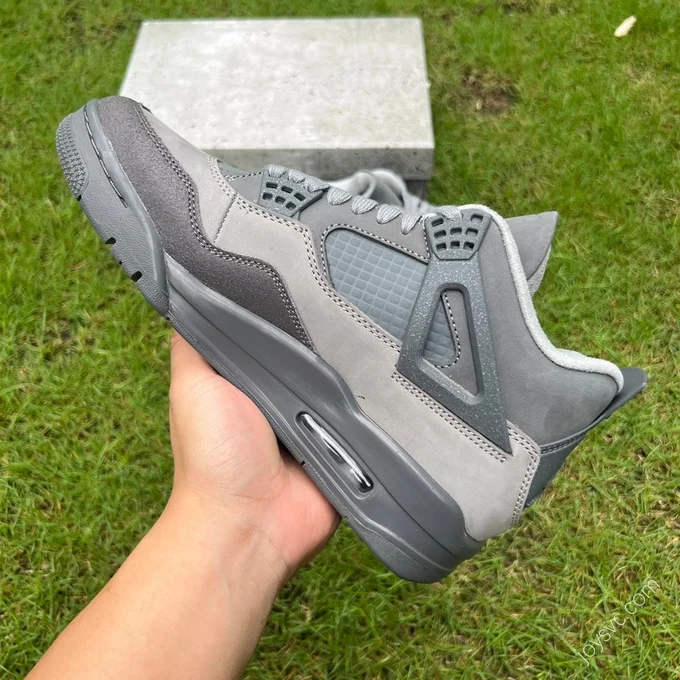 Air Jordan 4 SE 