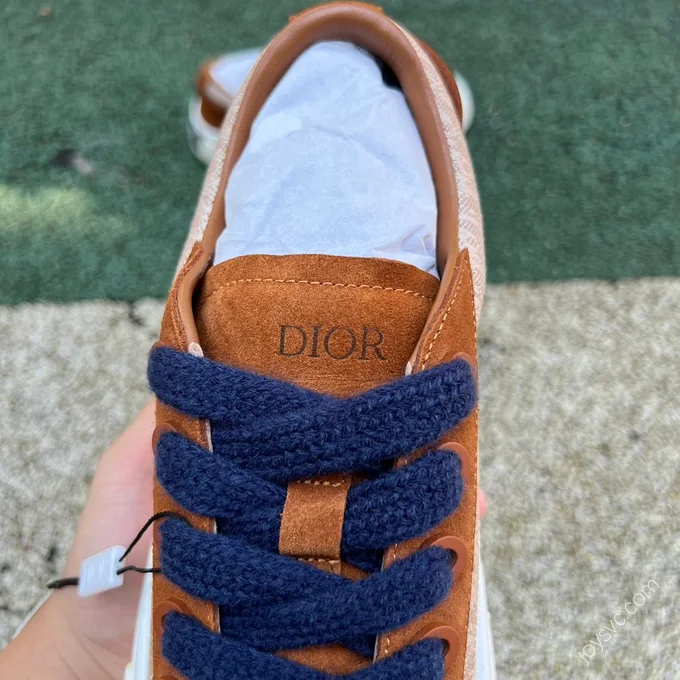 Dior B33 Blue Brown White