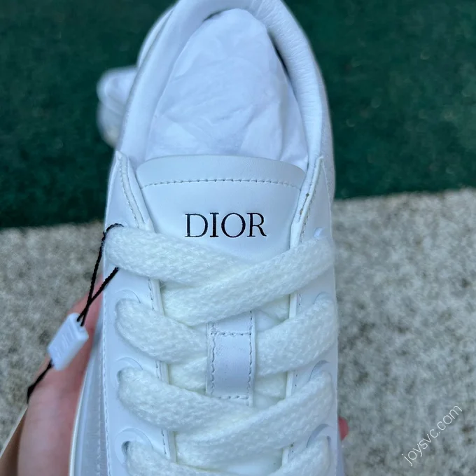 Dior B33 Grey White