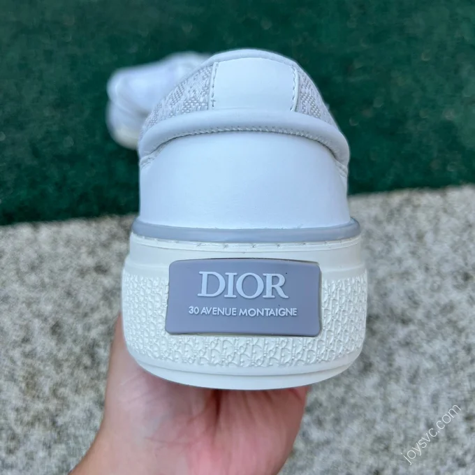 Dior B33 Grey White