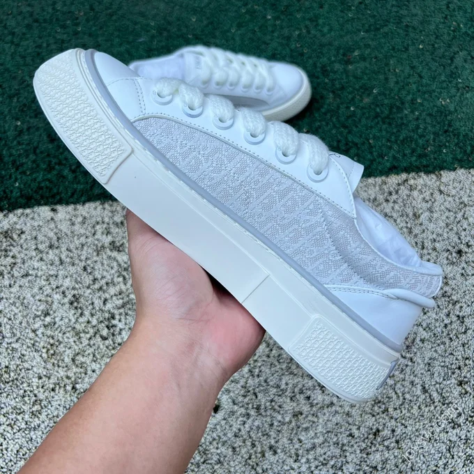 Dior B33 Grey White