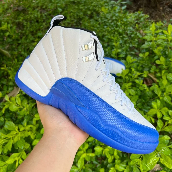 Air Jordan 12 