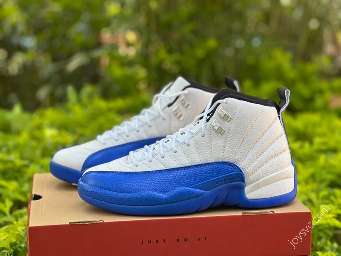 Air Jordan 12 