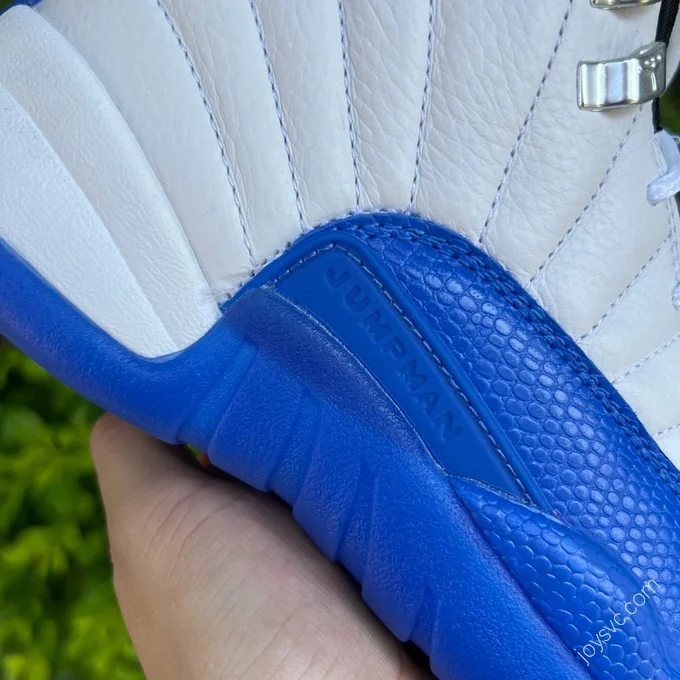 Air Jordan 12 