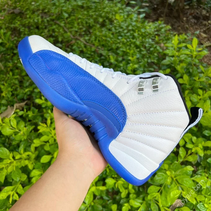 Air Jordan 12 