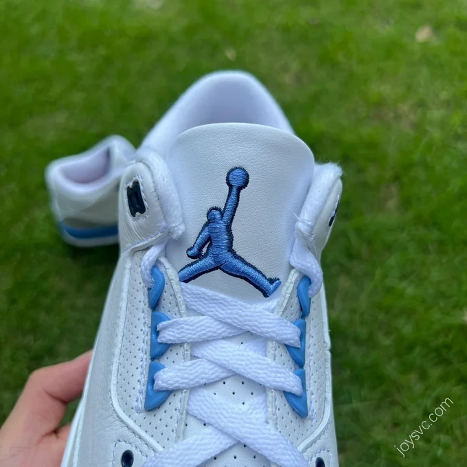 Air Jordan 3 