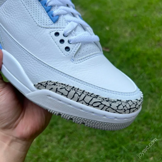 Air Jordan 3 