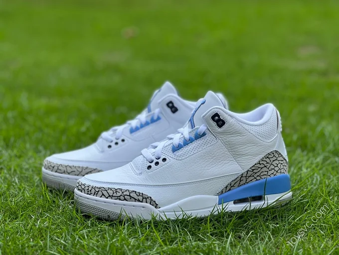 Air Jordan 3 