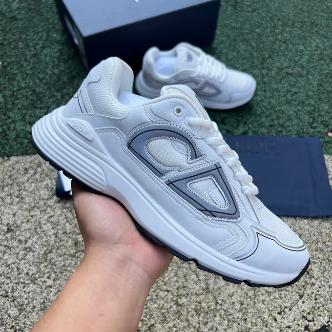 Dior B30 Grey White